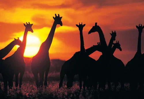 Discover Namibia - Camping