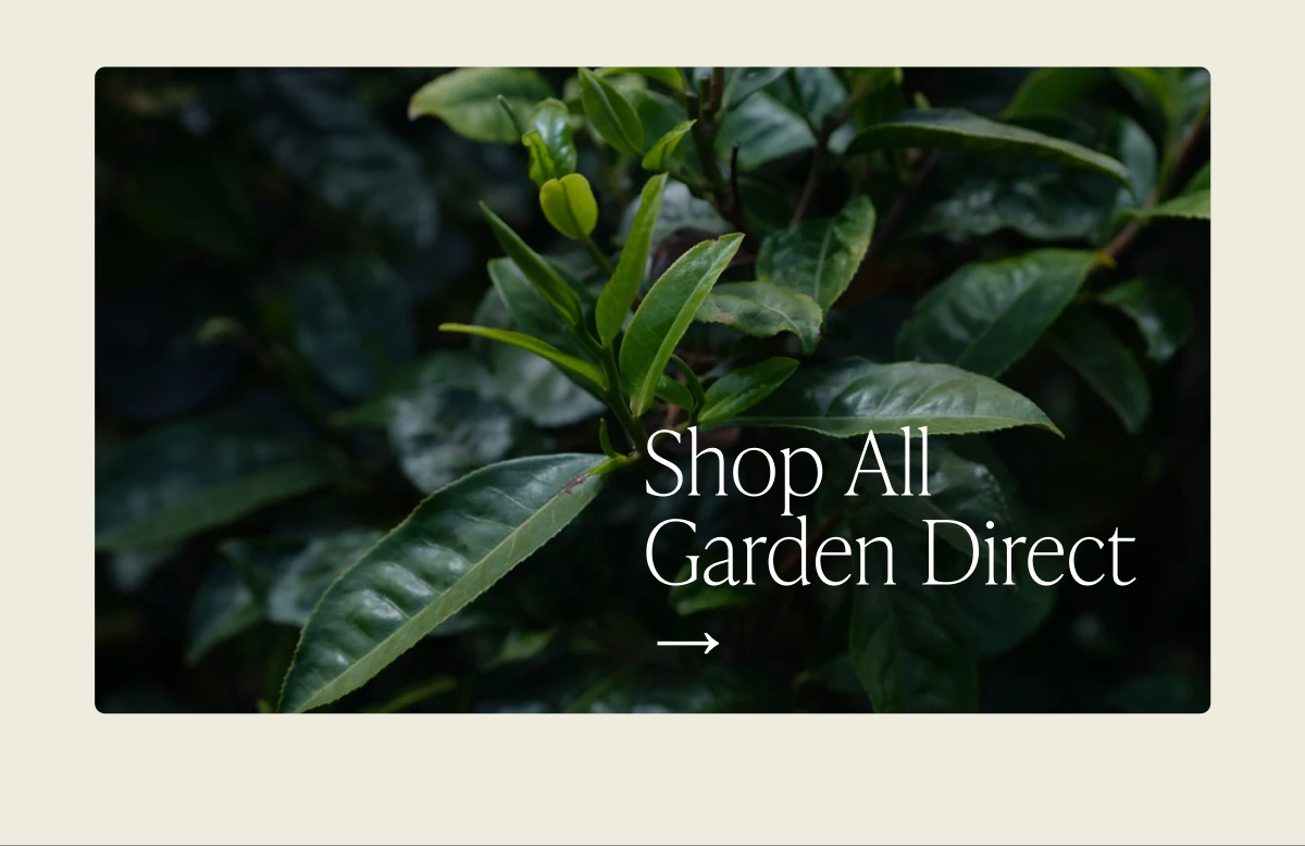 Shop All Garden Direct →