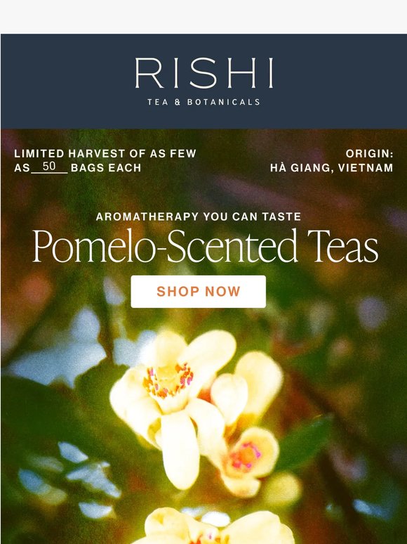 Taste the Spring with Mingqian Teas