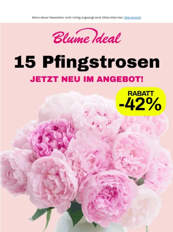 💗 Pfingstrosen im DEAL
