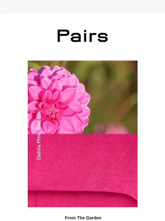 Colour in the garden…