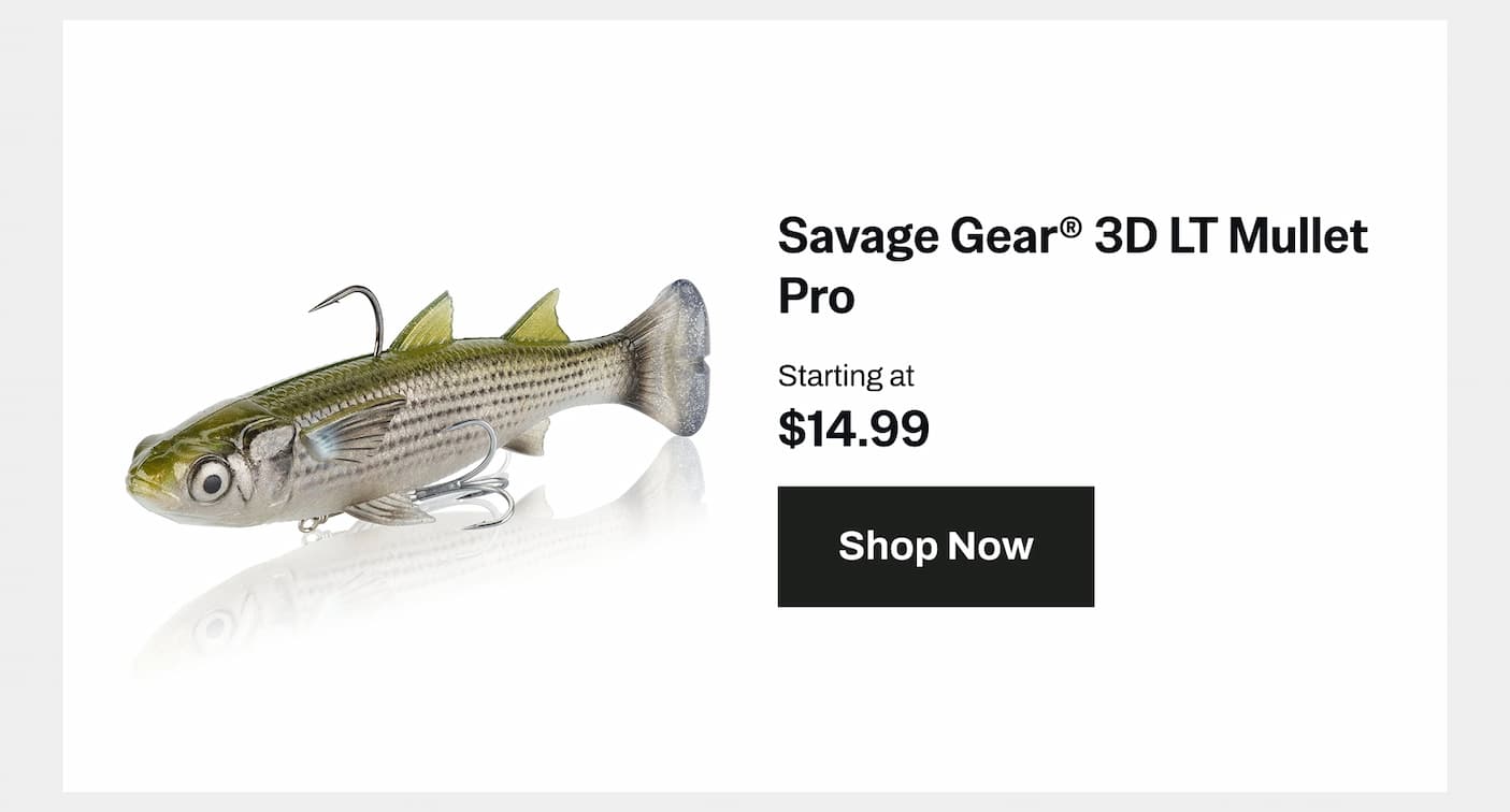 Savage Gear 3D LT Mullet Pro