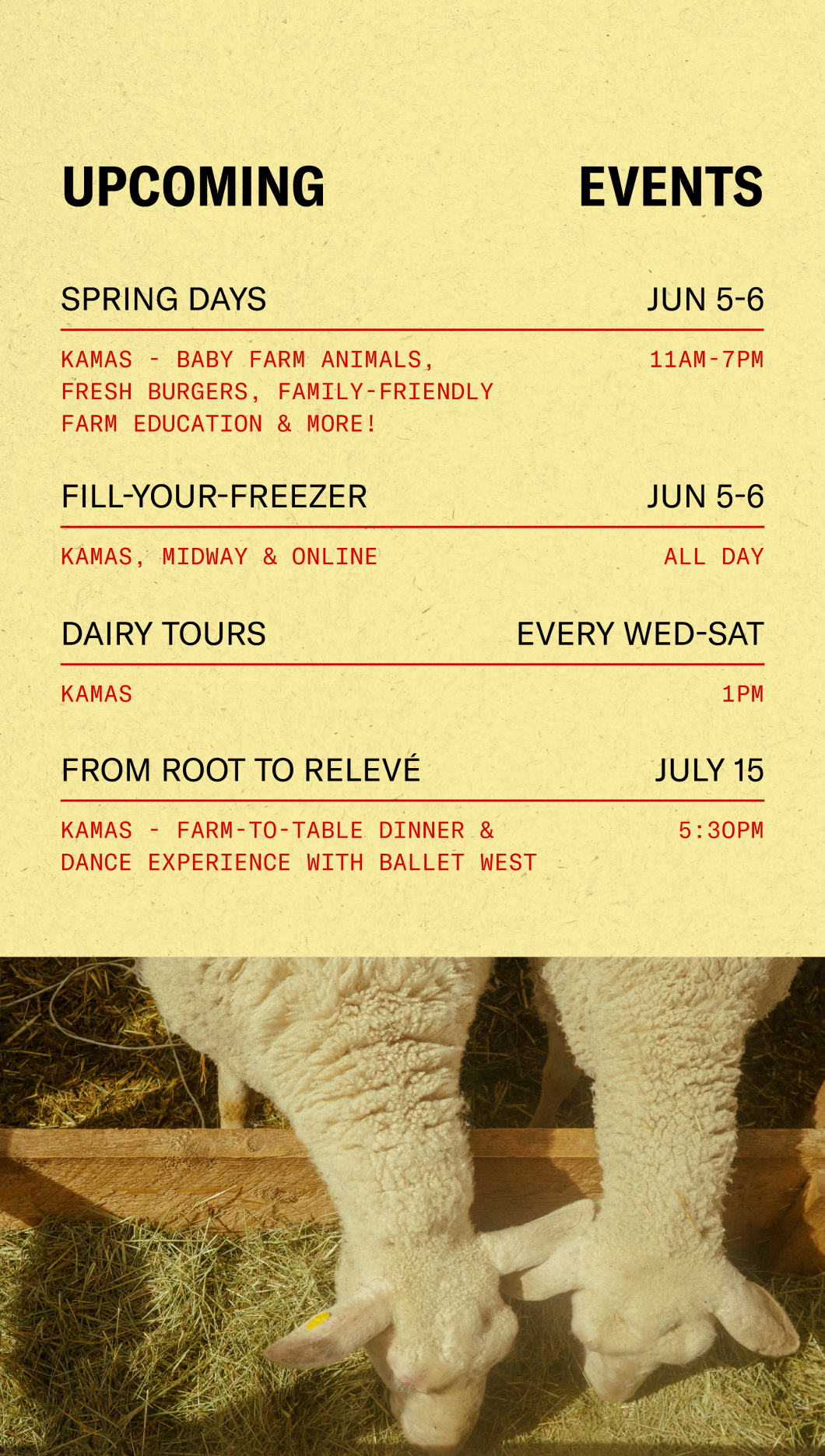 Ballerina Farm | Events