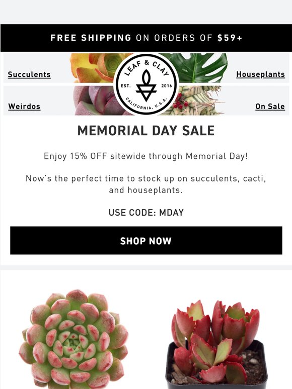 Memorial Day Sale! 🌵