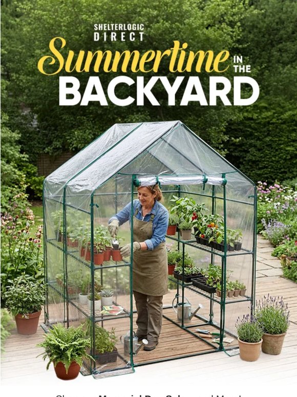 Summertime In The Backyard