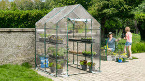 Mini Greenhouse
