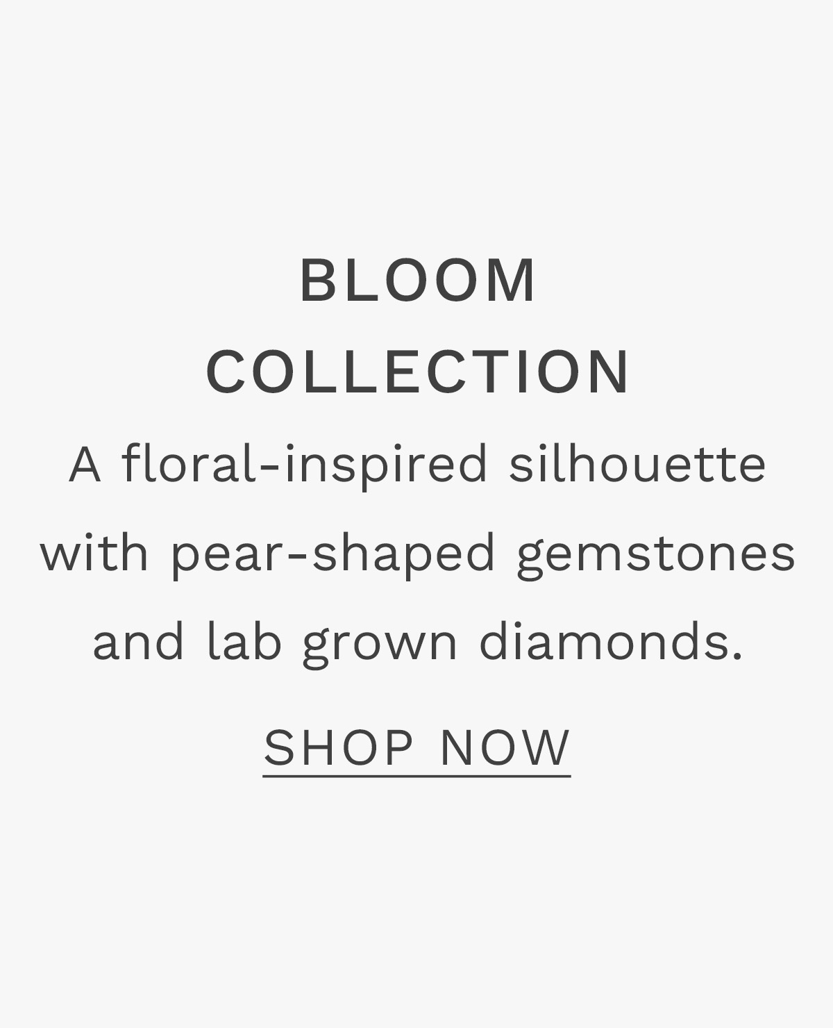 Bloom Collection SHOP NOW