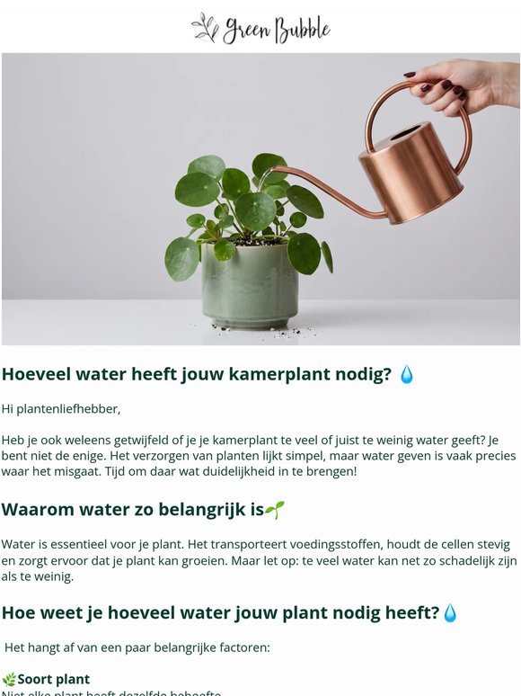 Hoeveel water heeft jouw plant nou eigenlijk nodig?💧