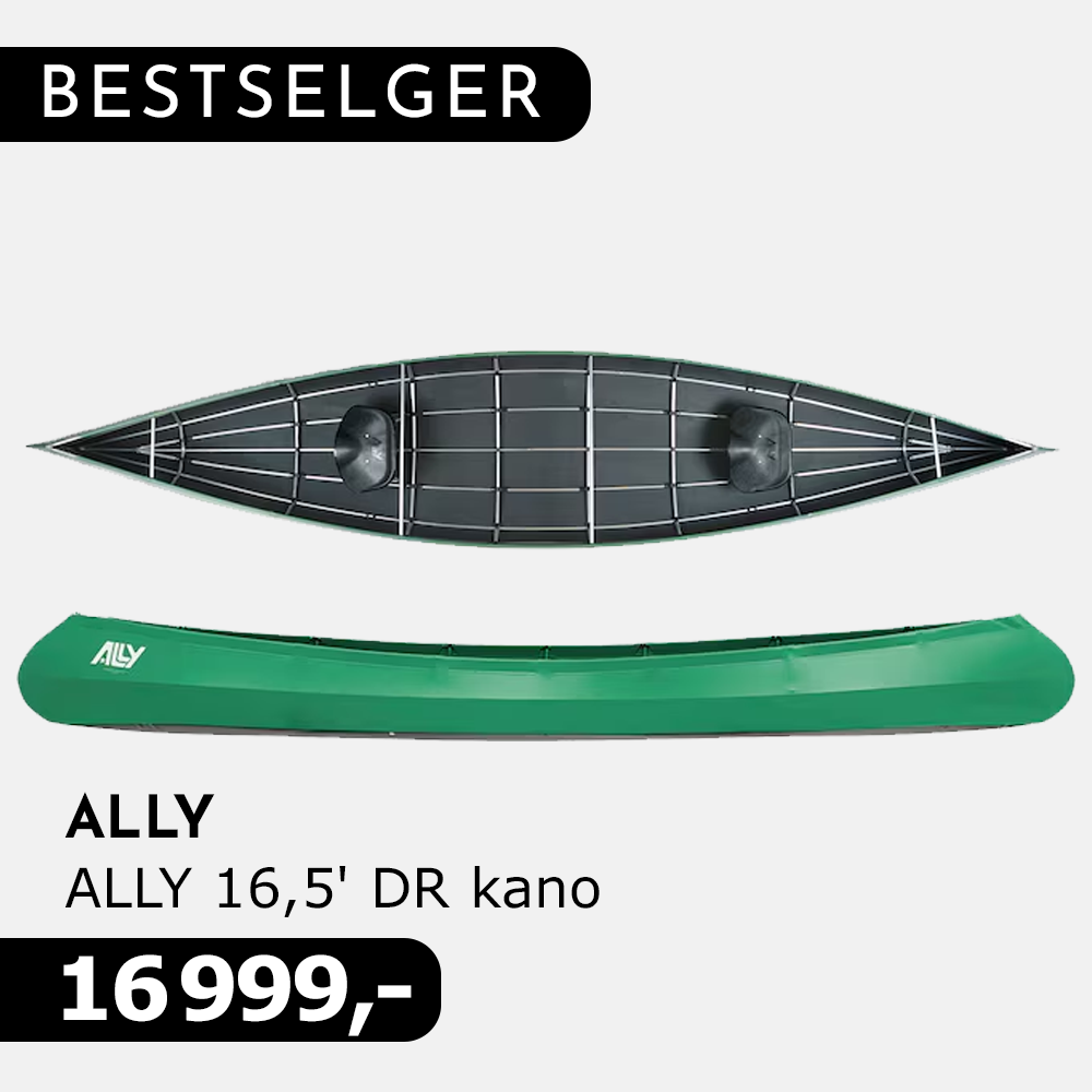  ALLY 16,5' DR kano