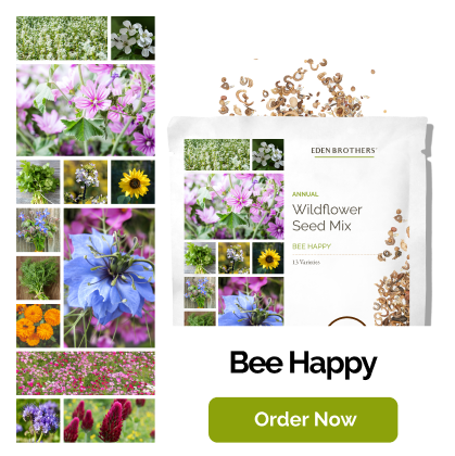 Bee Happy Wildflower Seed Mix ; view of packet with seeds coming out of top and a grid of photos of the flowers included