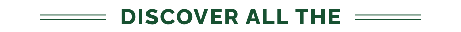 DISCOVER ALL THE