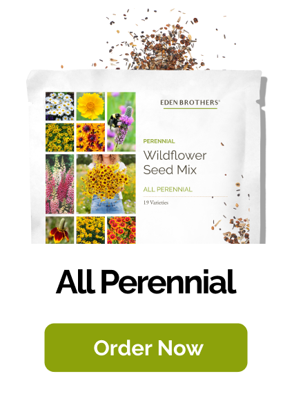All Perennial Wildflower Seed Mix ; view of packet with seeds coming out of top 