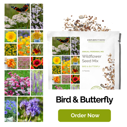 Bird & Butterfly Wildflower Seed Mix ; view of packet with seeds coming out of top and a grid of photos of the flowers included