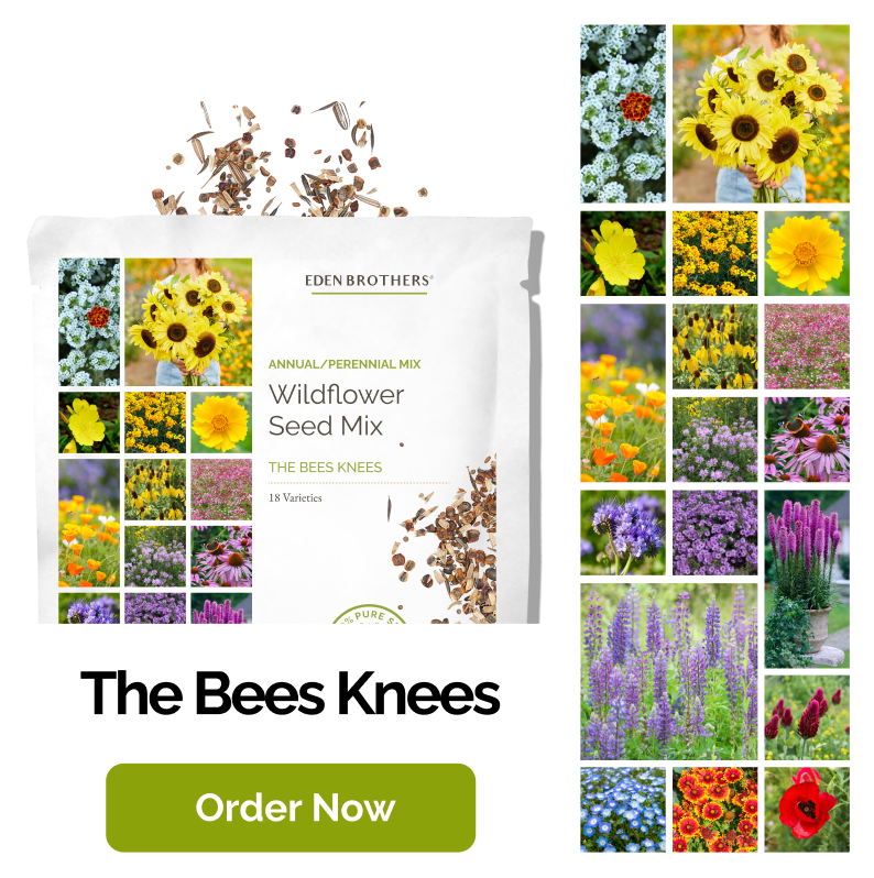The Bees Knees Wildflower Seed Mix ; view of packet with seeds coming out of top and a grid of photos of the flowers included