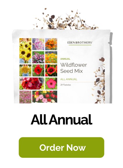 All Annual Wildflower Seed Mix ; view of packet with seeds coming out of top