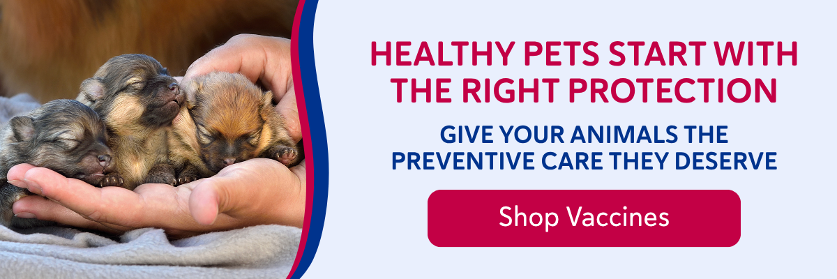 Shop Vaccines