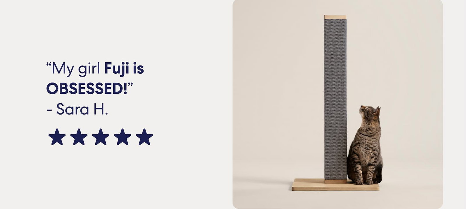 Shop furniture 