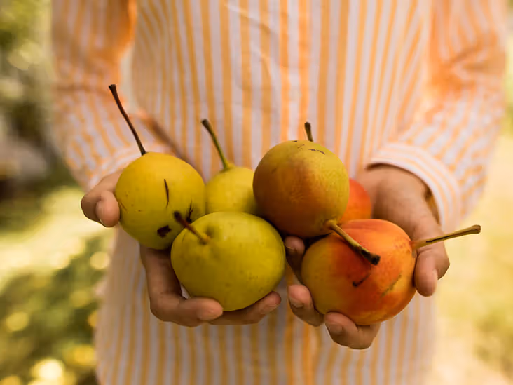 Can People with Diabetes Eat Pears?