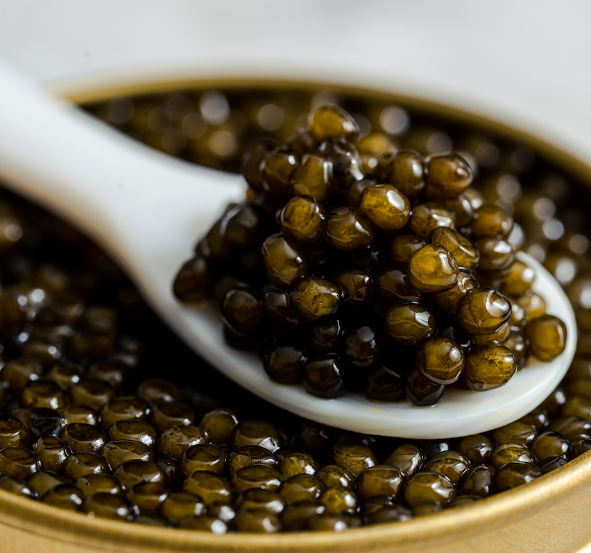 Imperia Caviar