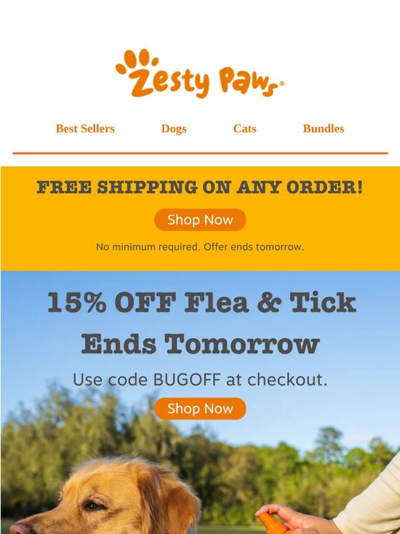 💥 Ends tomorrow: FREE shipping on ANY order, no minimum required! 💸