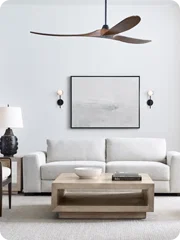 Visual Comfort Fan