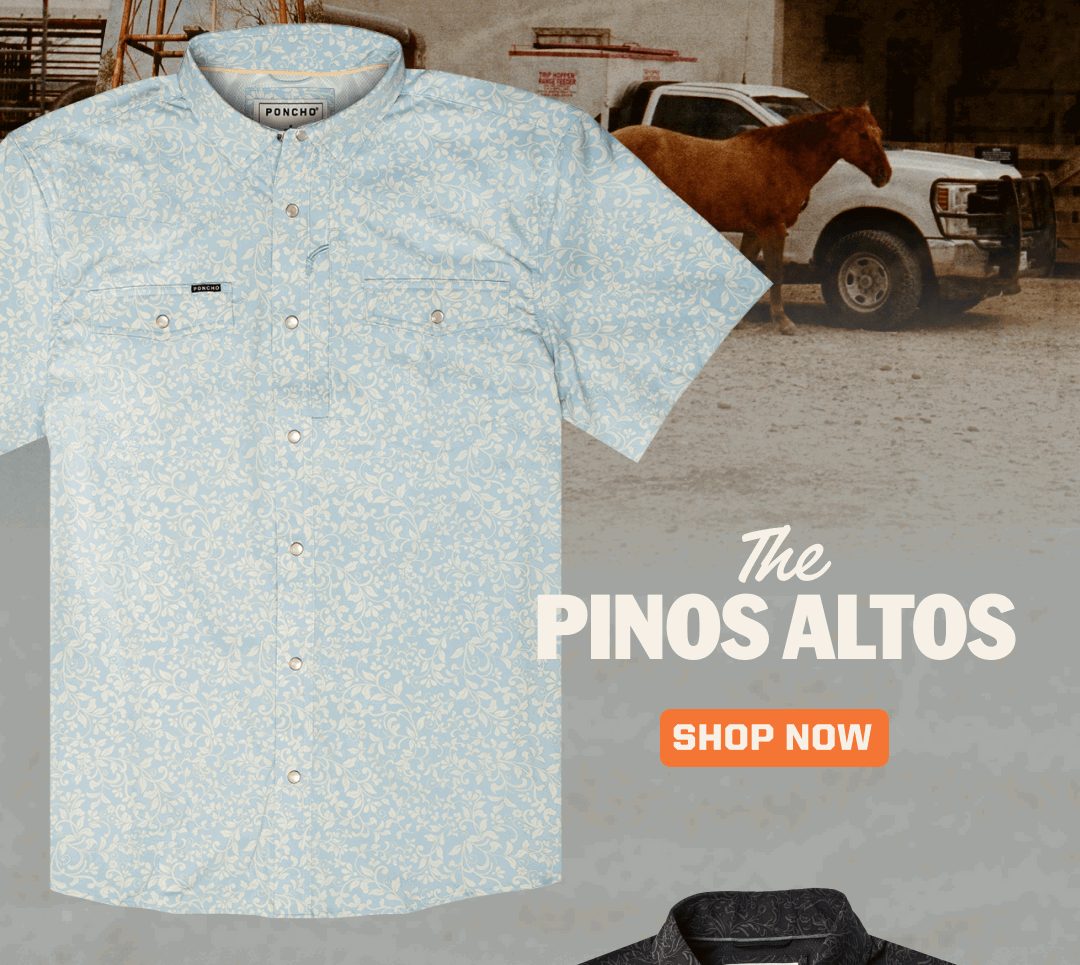 The Pinos Altos