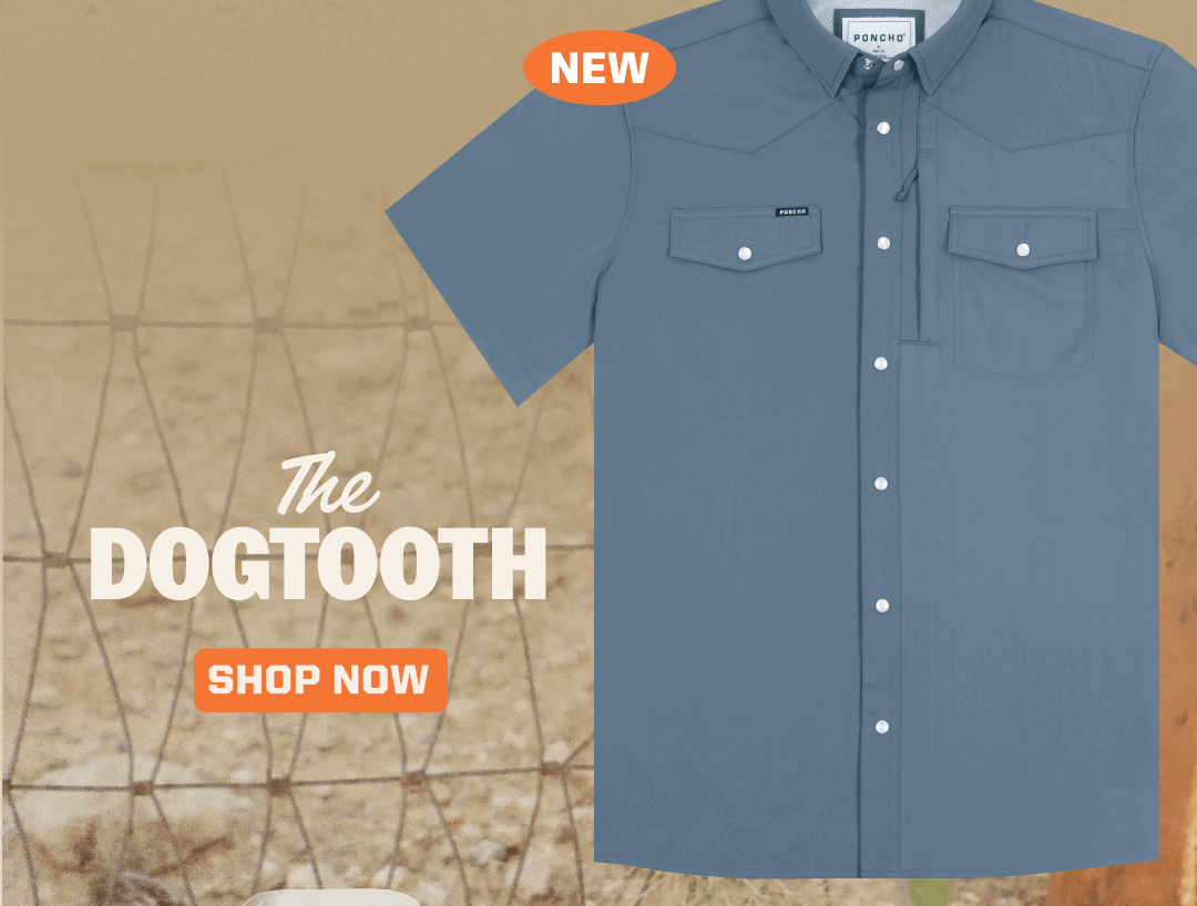 The Dogtooth