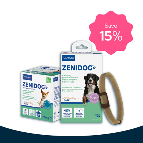 Zenidog