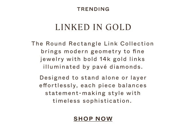 Sydney Evan Chain Link Collection