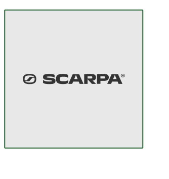 Scarpa