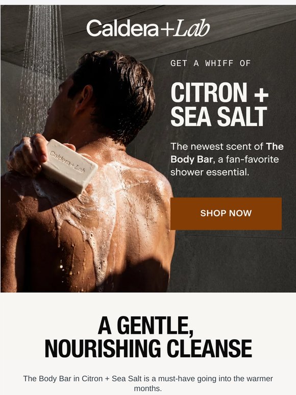 Meet The Body Bar in Citron + Sea Salt