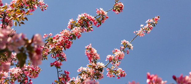 Laatste kans: de Lente Sale loopt op z'n eind!