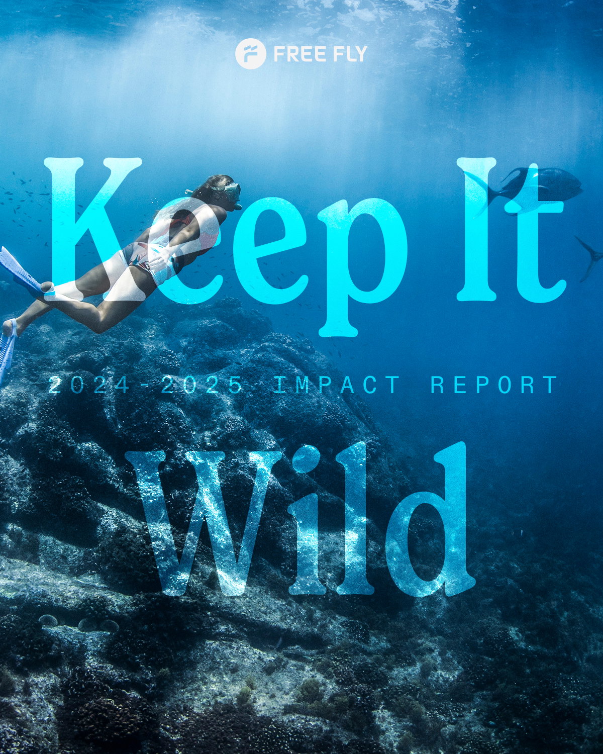 2024-2025 Impact Report
