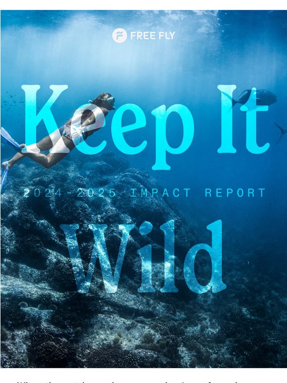 Our 2024-2025 Impact Report