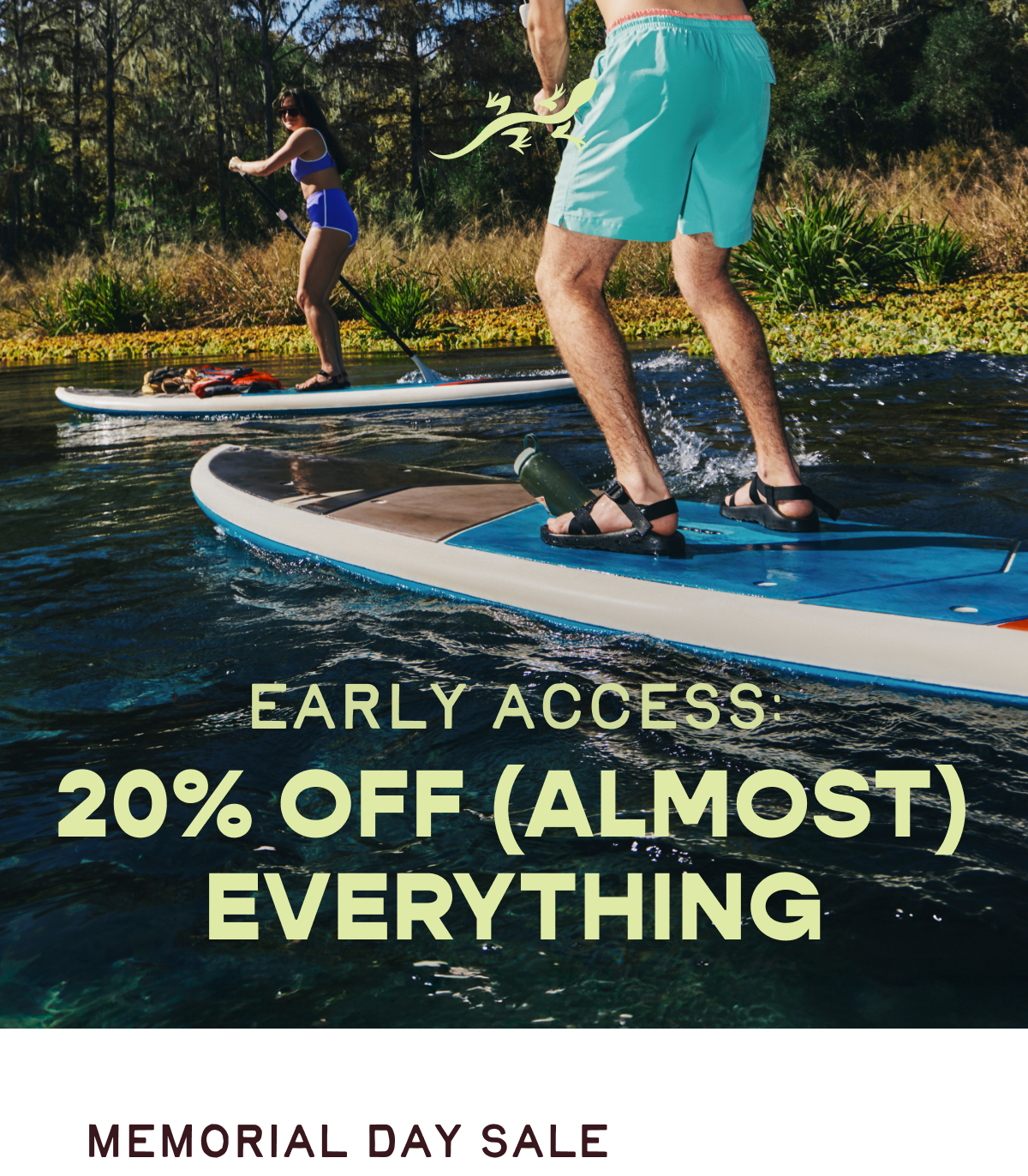 Early Access: 20% off almost everything