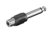 Image Article