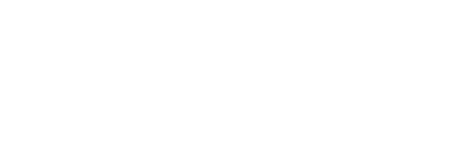Veloforte Logo