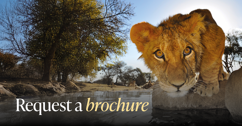 Request a brochure