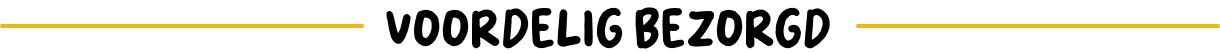 Voordelig bezorgd