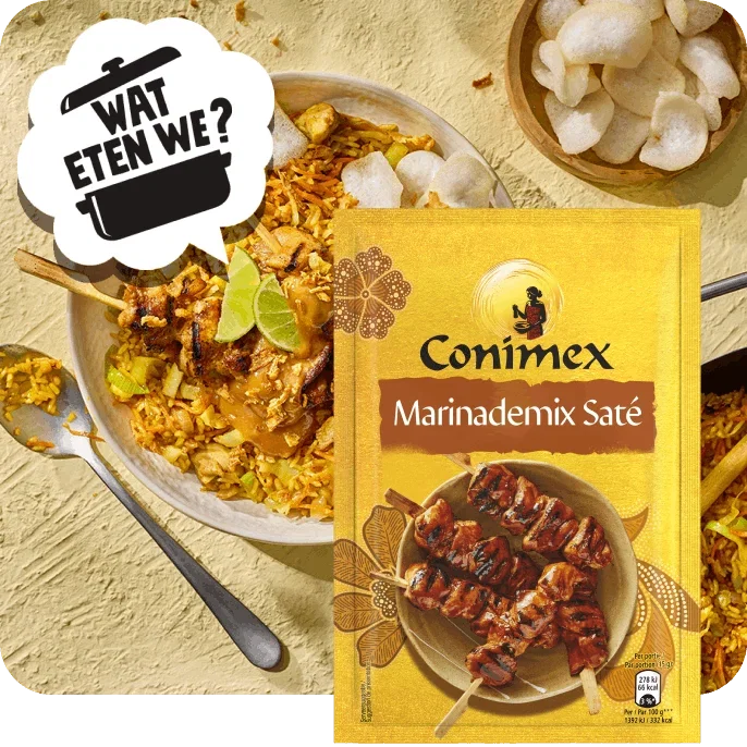 Nasi Goreng van Conimex