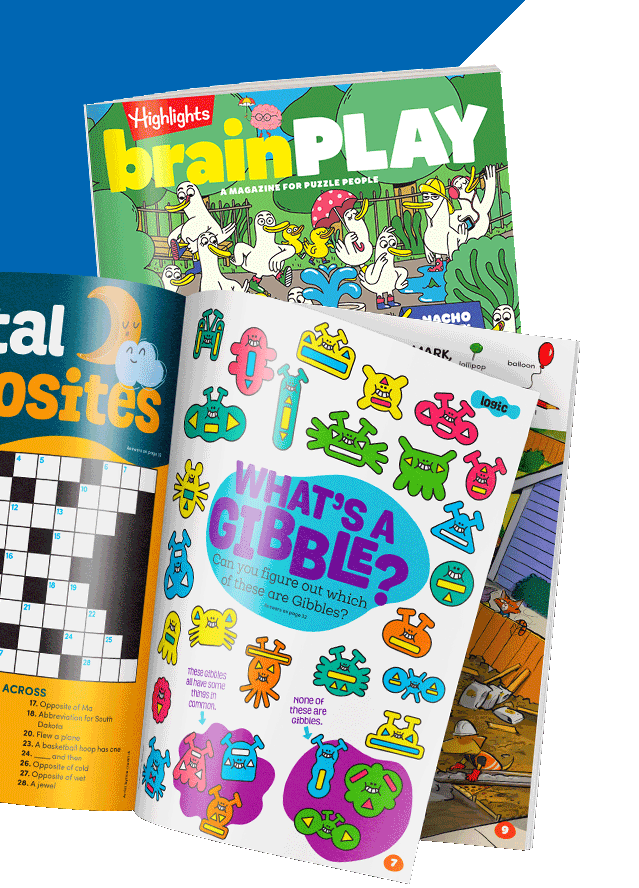 brainPLAY Magazine.