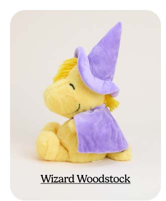 Shop Wizard Woodstock