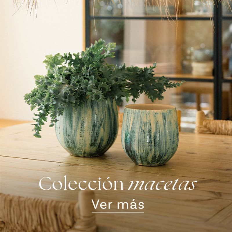 Macetas