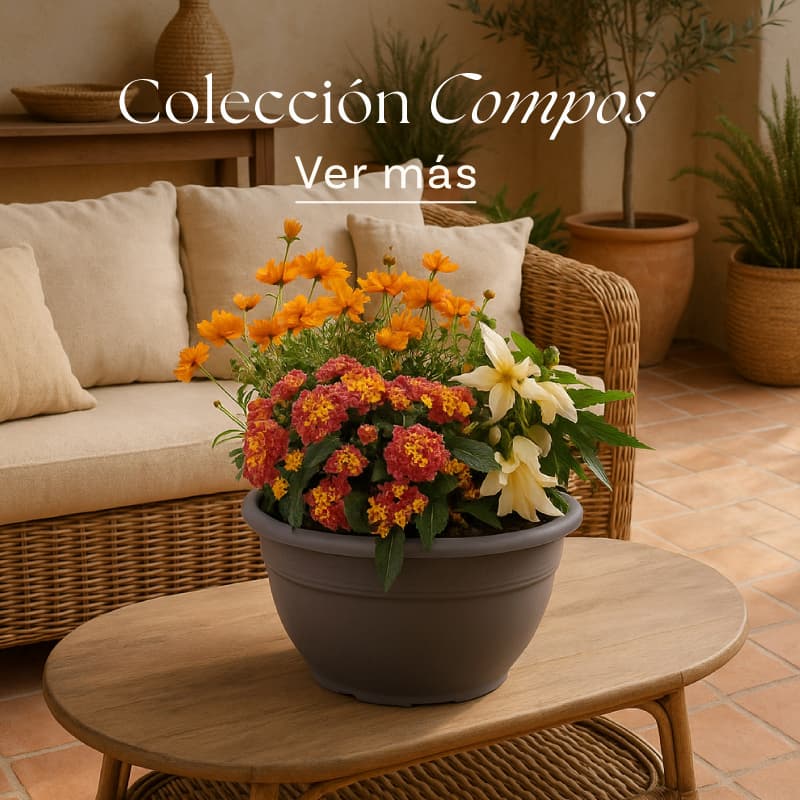 Composiciones