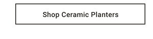Shop Ceramic Planters