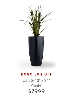 Japi 13" x 24" Planters