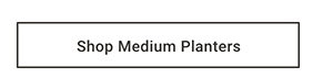 Shop Medium Planters