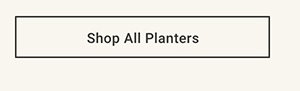 Shop All Planters