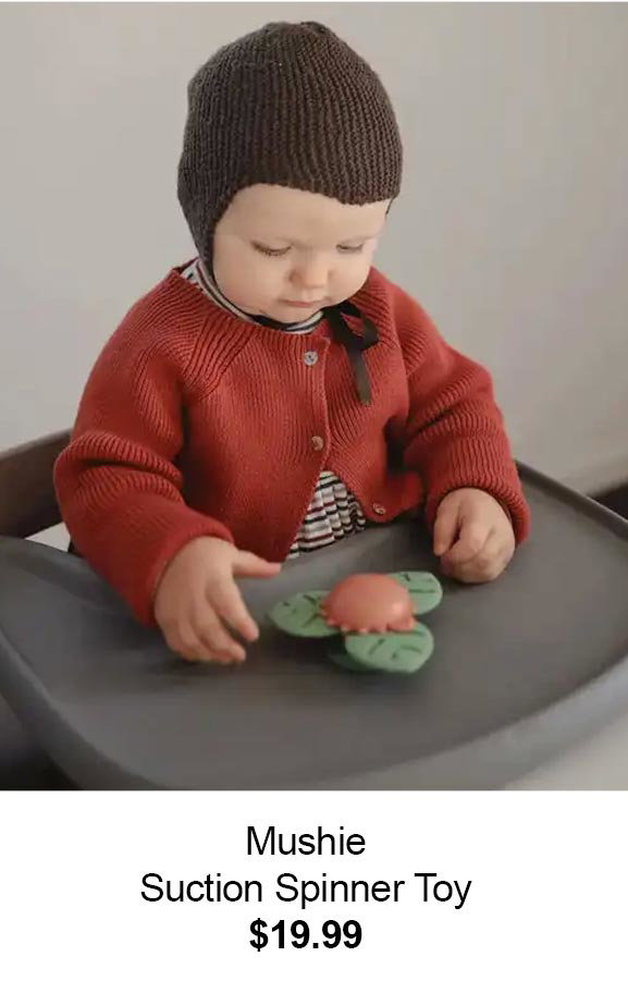 spinner toy