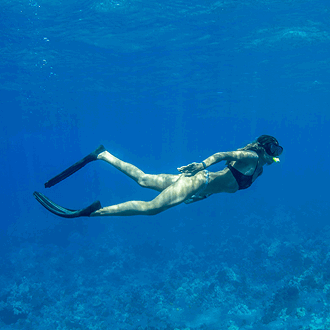 A diver swims underwater above a seabed.